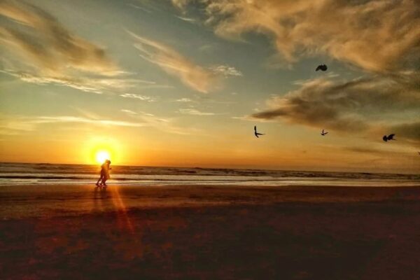 283596595_5558979754113091_2204986999874272960_n