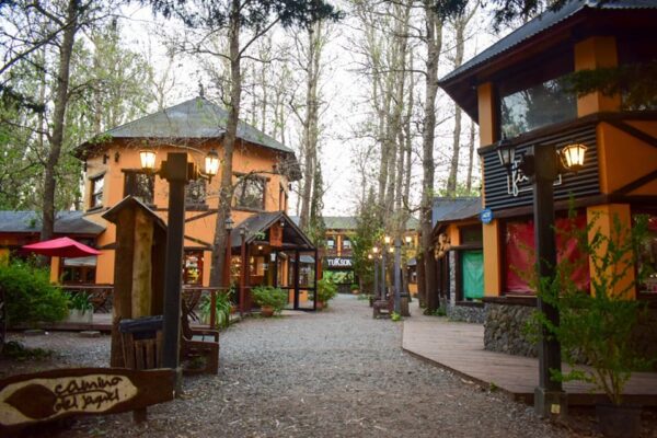 289689419_5658113017533097_6761471429813228985_n