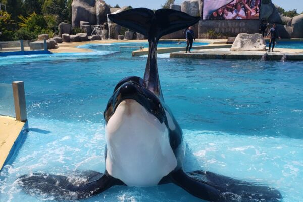 WhatsApp Image 2022-07-24 at 2.02.55 PM