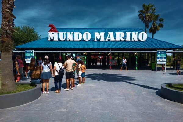 mundo marino